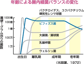 悪玉菌が増える原因