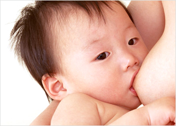 母乳に多く含まれるビフィズス菌