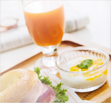乳酸菌について