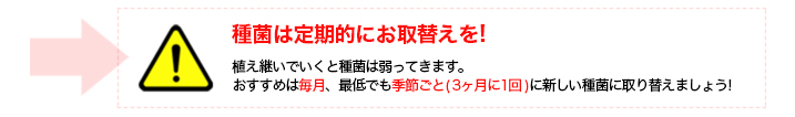 種菌は定期的にお取り替えを！