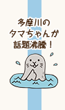 多摩川の多摩ちゃんが話題沸騰