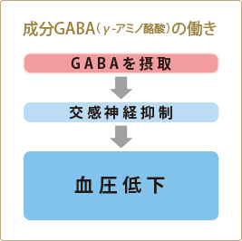 成分CABA(γ-アミノ酪酸)の働き