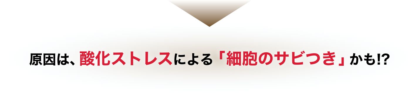 こんなお悩みのお持ちの方
