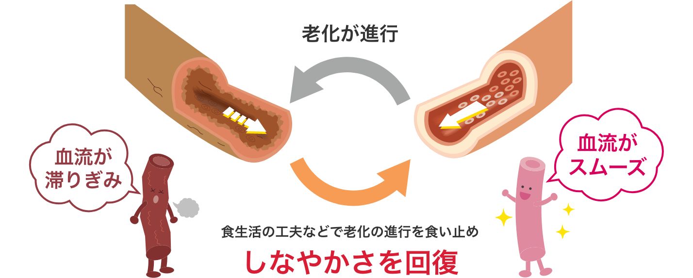 酸化ストレスによる目に見えない血管トラブル