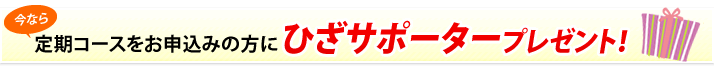 定期コースお申込みでひざサポータープレゼント!