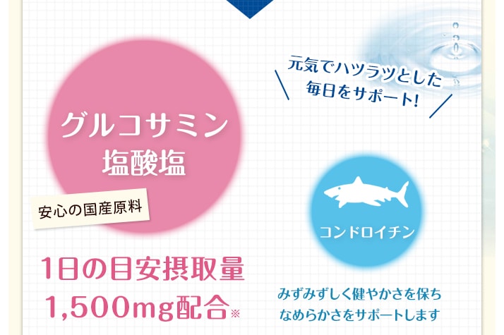 グルコサミン塩酸塩 安心の国産原料 1日の目安摂取量1,500mg配合 コンドロイチンみずみずしく健やかさを保ちなめらかさをサポートします