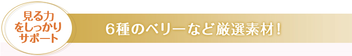 6種のベリーなど厳選素材！見る力をしっかりサポート