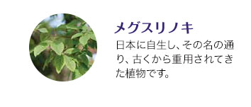 β-カロテン「くっきり」をサポートするビタミン。緑黄色野菜に多く含まれます。