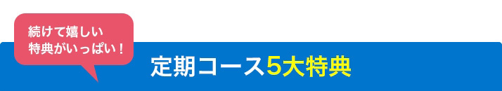 定期コース5大特典