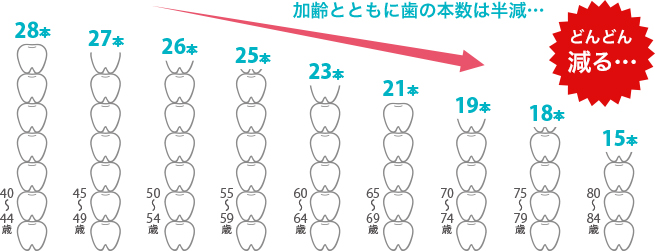 加齢とともに歯の本数は半減・・・