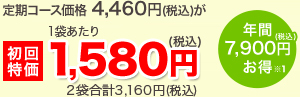 初回特価3,160円