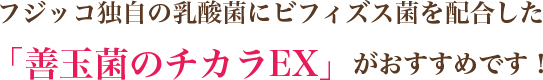 フジッコ独自の乳酸菌にビフィズス菌を配合した「善玉菌のチカラEX」がおすすめです！