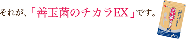 それが、「善玉菌のチカラEX」です。