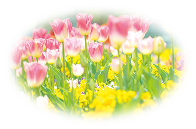 花畑（フローラ）