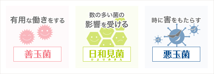 「腸内フローラ」の善玉菌と悪玉菌のバランスが大事