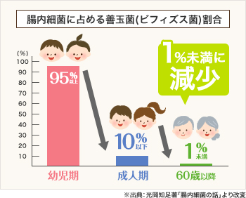 腸内細菌に占める善玉菌（ビフィズス菌）割合