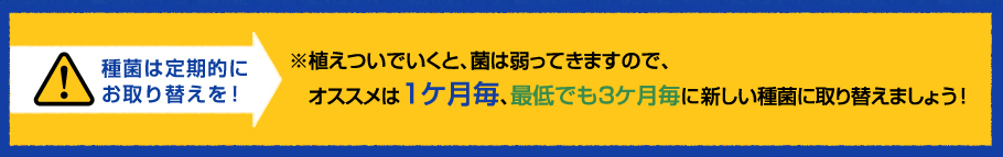 種菌は定期的にお取替えを！