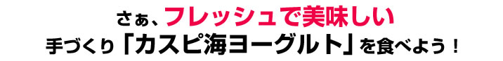 フレッシュで美味しい