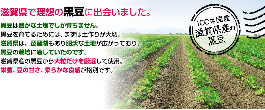滋賀県で理想の黒大豆に出会いました。黒大豆は豊かな土壌でしか育ちません。黒大豆を育てるためには、まずは土作りが大切。滋賀県は、琵琶湖もあり肥沃な土地が広がっており、黒大豆の栽培に適していたのです。滋賀県産の黒豆から大粒だけを厳選して使用。栄養、豆の甘さ、柔らかな食感が格別です。