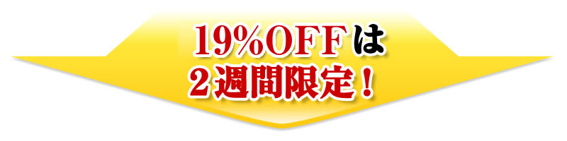 20%OFFは2週間限定！