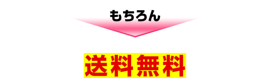 もちろん送料無料