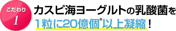 こだわり１．カスピ海ヨーグルトの乳酸菌を1粒に20億個以上凝縮！