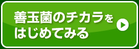 善玉菌のチカラをはじめてみる