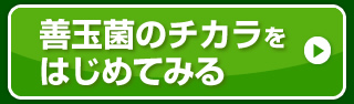 善玉菌のチカラをはじめてみる