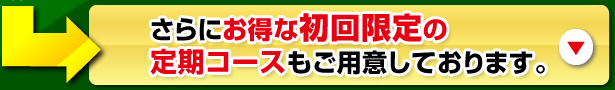 さらにお得な初回限定の定期コースもご用意しております。