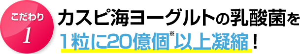 こだわり１．カスピ海ヨーグルトの乳酸菌を1粒に20億個以上凝縮！
