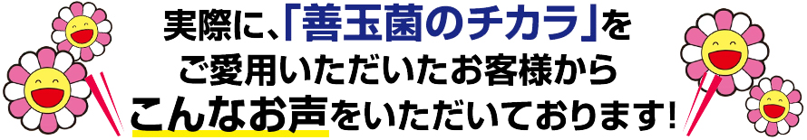 実際に、「善玉菌のチカラ」をご愛用いただいたお客様からこんな声をいただいております！