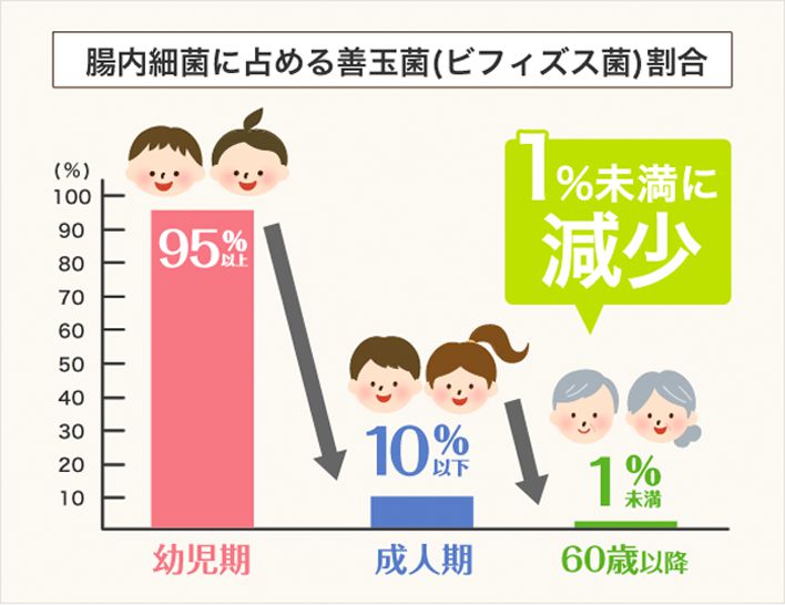 善玉 菌 の チカラ 効果