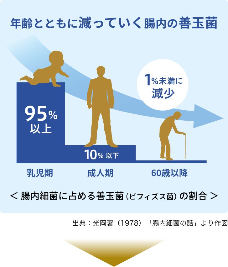善玉菌のチカラEX【フジッコ公式通販】乳酸菌とビフィズス菌をW配合 善玉菌のチカラEX【フジッコ公式通販】乳酸菌とビフィズス菌をW配合