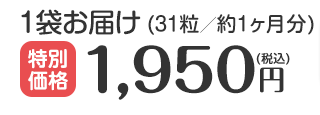 1袋お届け (31粒／約30日)1,950円