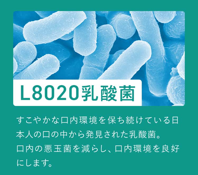 L8020乳酸菌