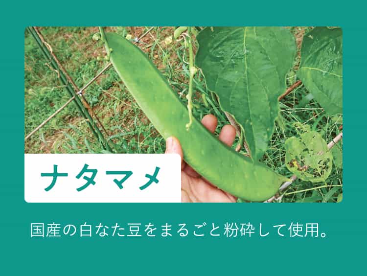 ナタマメ