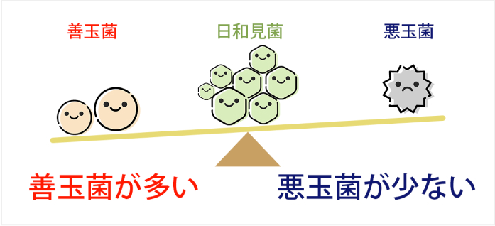 善玉菌が多い状態でいることが理想的なお口の環境を保つうえで、大切になってくるのです