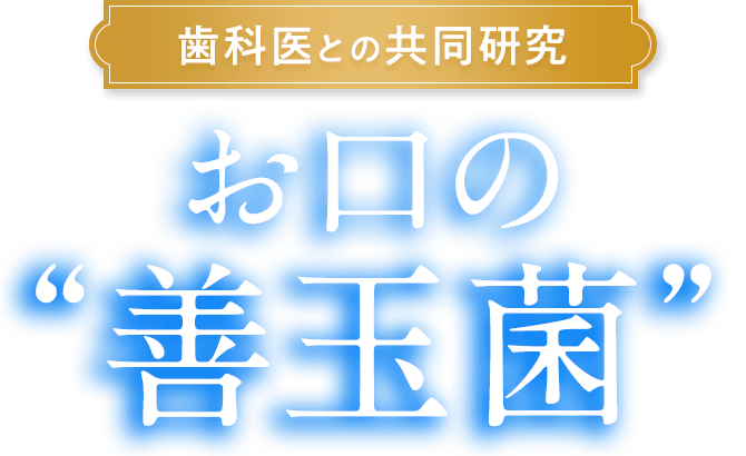 歯科医との共同研究