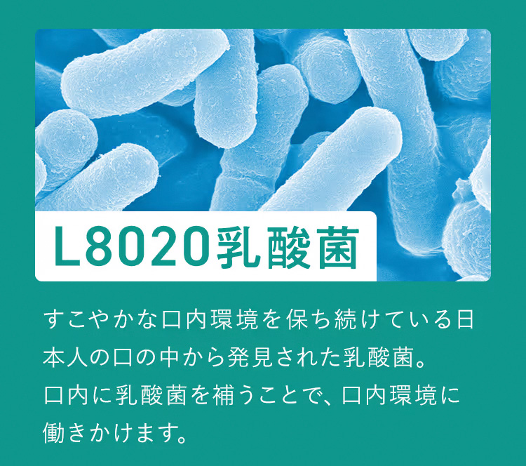 L8020乳酸菌