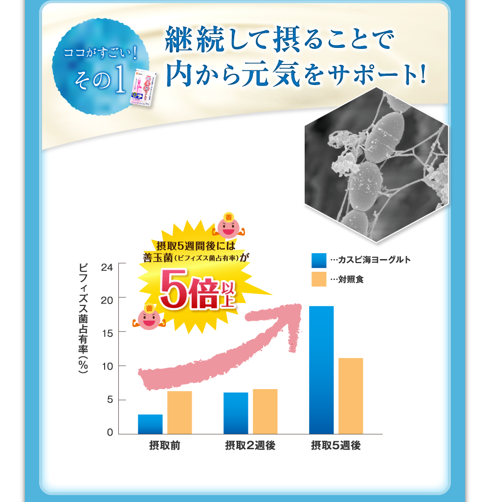 ココがすごい！その1 継続して摂ることで内から元気をサポート!