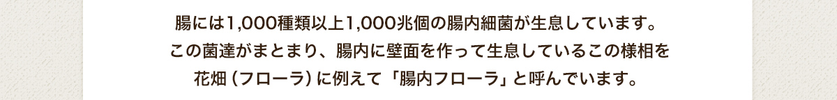 腸には1,000種類以上1,000兆個の腸内細菌が生息しています。この菌達がまとまり、腸内に壁面を作って生息しているこの様相を花畑（フローラ）に例えて「腸内フローラ」と呼んでいます。