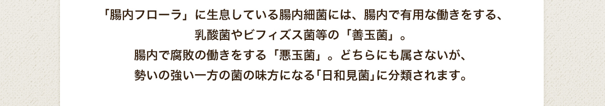 「腸内フローラ」に生息している腸内細菌には、腸内で有用な働きをする、乳酸菌やビフィズス菌等の「善玉菌」。腸内で腐敗の働きをする「悪玉菌」。どちらにも属さないが、勢いの強い一方の菌の味方になる｢日和見菌｣に分類されます。