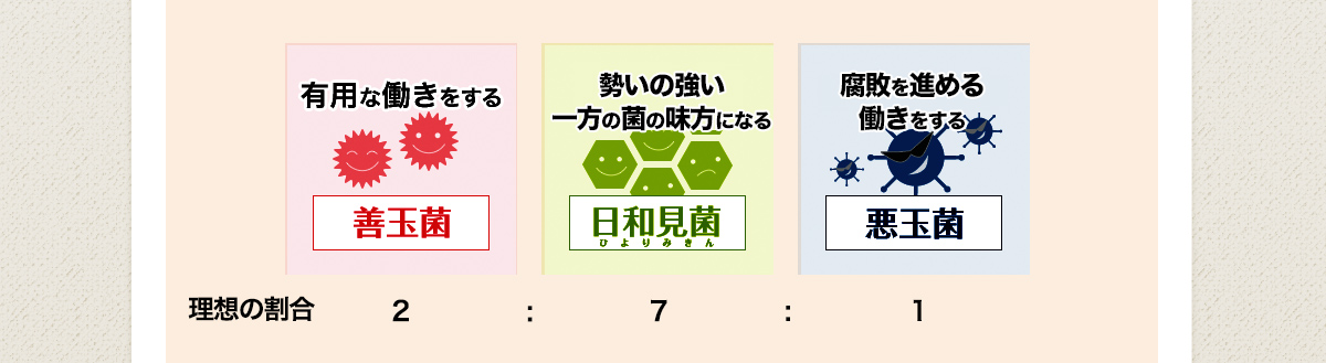 理想の割合 有用な働きをする善玉菌 2： 勢いの強い一方の菌の味方になる日和見菌 ７： 腐敗を進める働きをする悪玉菌 1