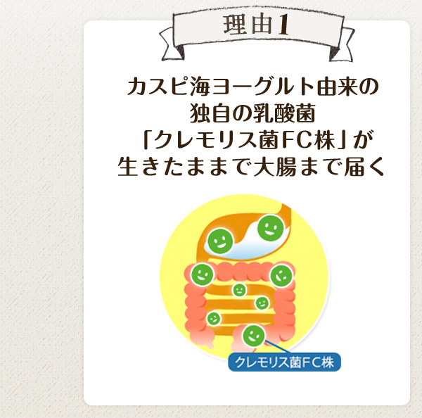 理由1 カスピ海ヨーグルト由来の独自の乳酸菌 「クレモリス菌FC株」が 生きたままで大腸まで届く