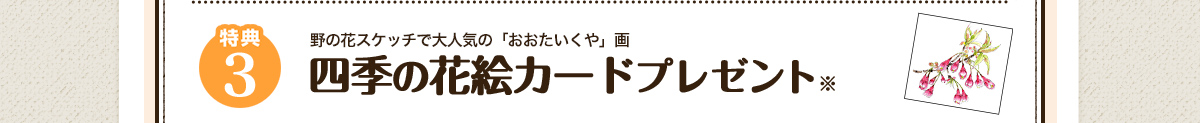 特典3 野の花のスケッチで大人気の「おおたいくや」画 四季の花絵カードプレゼント※