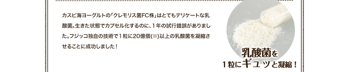 カスピ海ヨーグルトの「クレモリス菌FC株」はとてもデリケートな乳酸菌。生きた状態でカプセル化するのに、１年の試行錯誤がありました。フジッコ独自の技術で１粒に20億個(※)以上の乳酸菌を凝縮させることに成功しました！ 乳酸菌を1粒にギュッと凝縮！